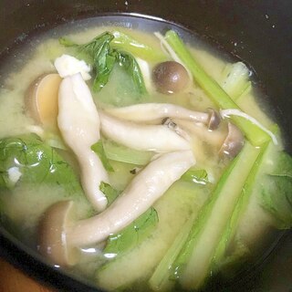 小松菜としめじのお味噌汁